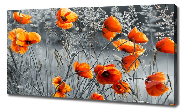 Tablouri tipărite pe pânză wildflowers maci