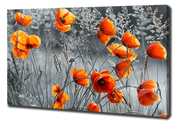 Tablouri tipărite pe pânză wildflowers maci