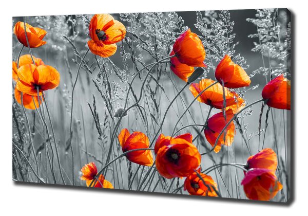 Tablou pe pânză wildflowers maci