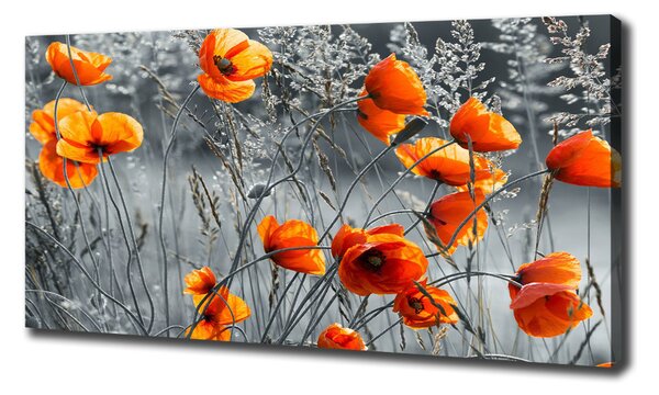Tablouri tipărite pe pânză wildflowers maci