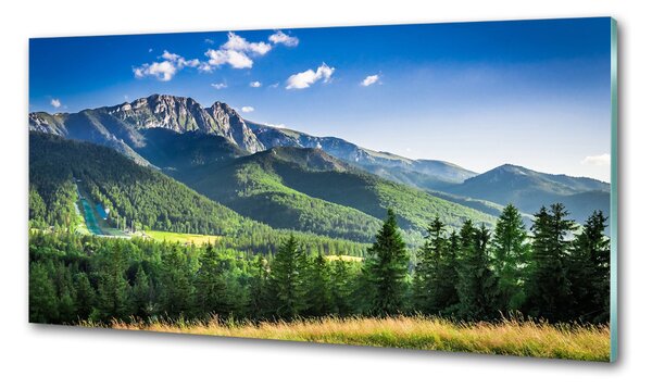 Panou sticla securizata bucatarie Dealul din Tatra