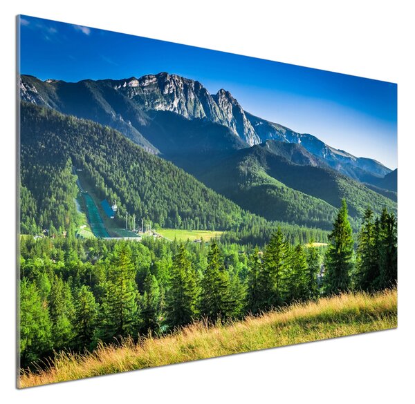 Panou perete bucătărie Dealul din Tatra