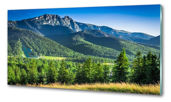 Panou perete bucătărie Dealul din Tatra