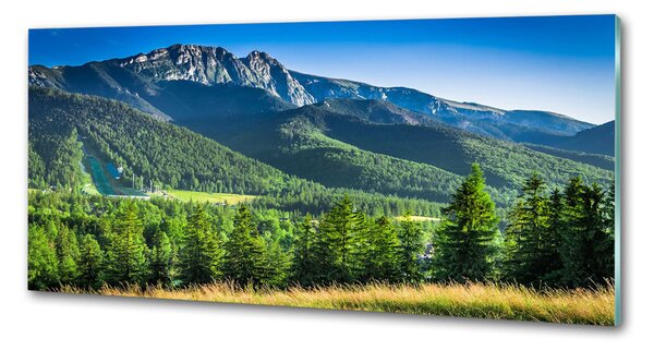Panou perete bucătărie Dealul din Tatra