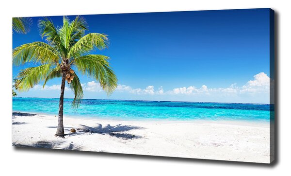 Pictură pe pânză plaja tropicala