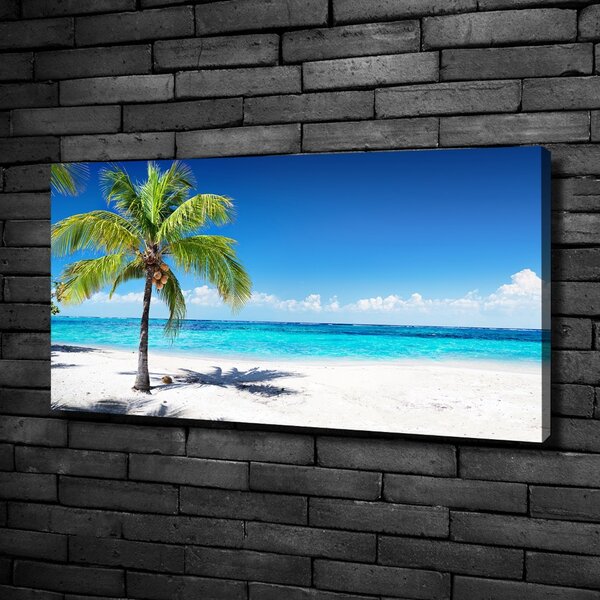 Pictură pe pânză plaja tropicala