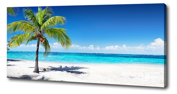 Pictură pe pânză plaja tropicala