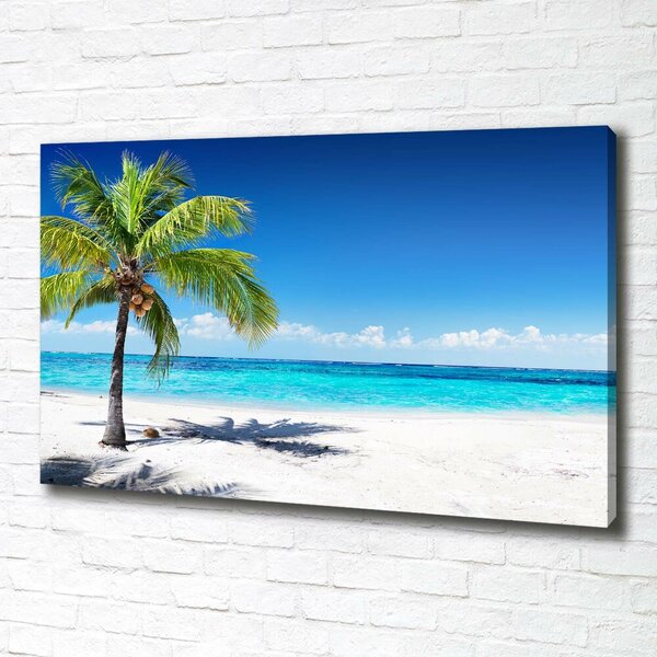 Pictură pe pânză plaja tropicala