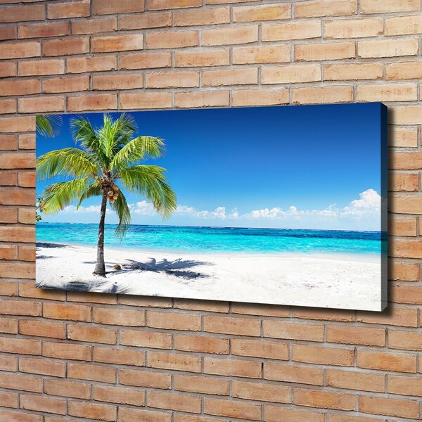 Pictură pe pânză plaja tropicala