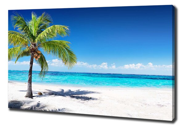 Pictură pe pânză plaja tropicala