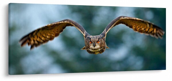 Tablou -Bufnita în zbor (120x50 cm)