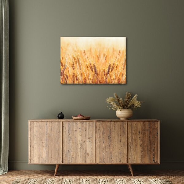 Tablou - câmp cu grâne (70x50 cm)