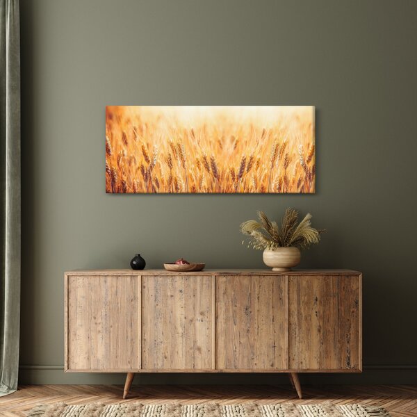 Tablou - câmp cu grâne (120x50 cm)