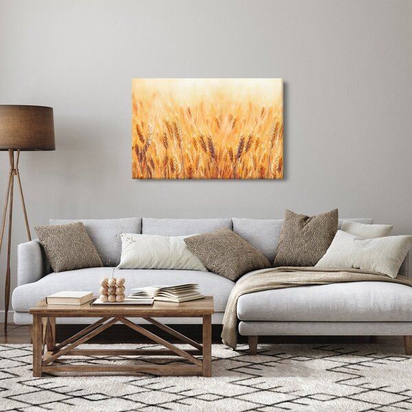 Tablou - câmp cu grâne (90x60 cm)