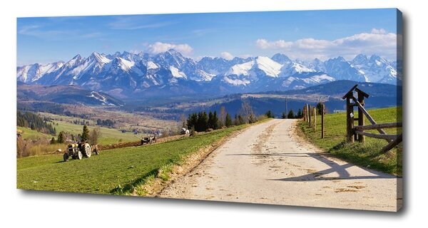 Tablou pe pânză panorama Tatra