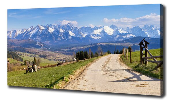 Tablou pe pânză panorama Tatra