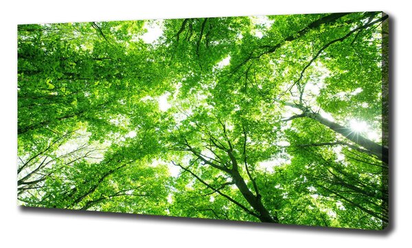 Pictură pe pânză Pădure verde