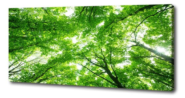 Pictură pe pânză Pădure verde
