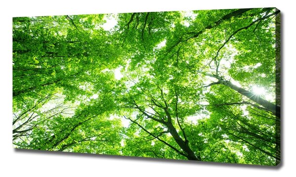 Pictură pe pânză Pădure verde
