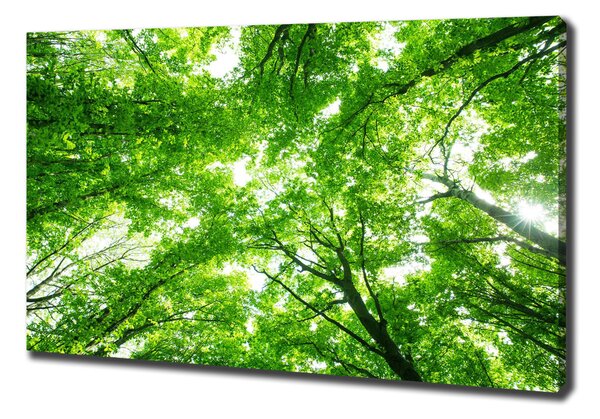 Pictură pe pânză Pădure verde