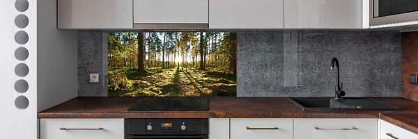 Panou de bucătărie o pădure de pini