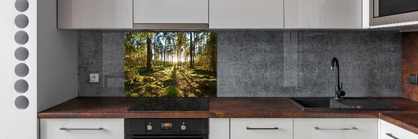 Panou de bucătărie o pădure de pini