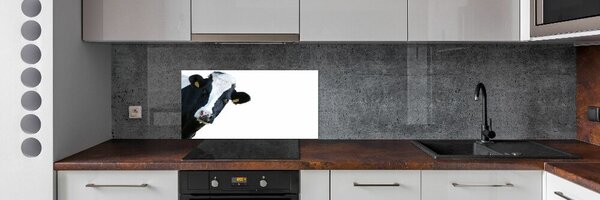 Panou sticla securizata bucatarie Vacă