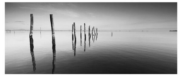 Tablou cu nivelul de lac alb negru (120x50 cm)