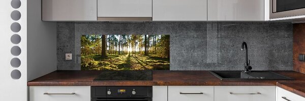 Panou de bucătărie o pădure de pini