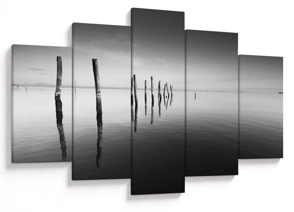 Tablou cu nivelul de lac alb negru (150x105 cm)