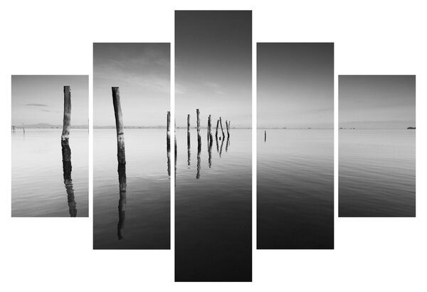 Tablou cu nivelul de lac alb negru (150x105 cm)