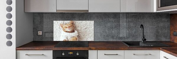 Panou sticla securizata bucatarie Pisoi în pulover