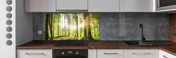 Panou sticlă bucătărie Pădurea în soare