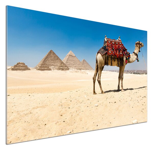 Sticlă pentru bucătărie Camel la Cairo