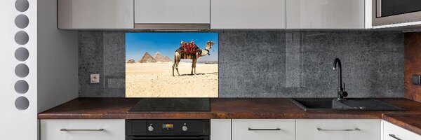 Sticlă pentru bucătărie Camel la Cairo