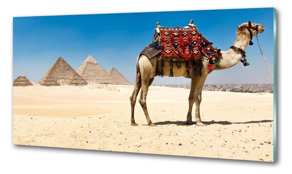 Sticlă pentru bucătărie Camel la Cairo
