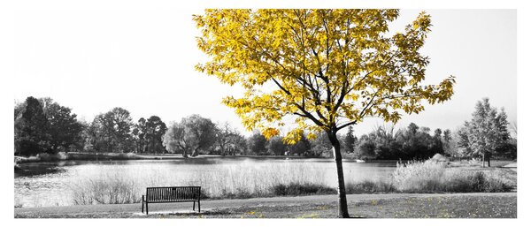 Tablou - relaxare în parc (120x50 cm)