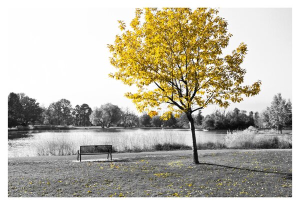 Tablou - relaxare în parc (90x60 cm)