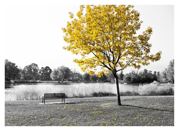 Tablou - relaxare în parc (70x50 cm)