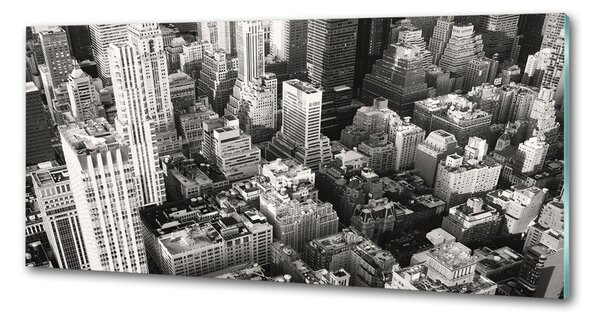 Panou perete bucătărie New York pasăre de zbor
