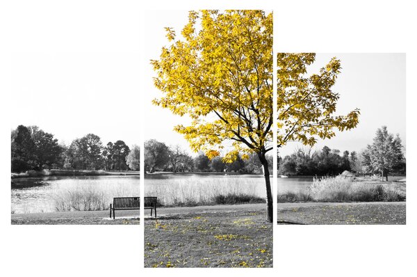Tablou - relaxare în parc (90x60 cm)