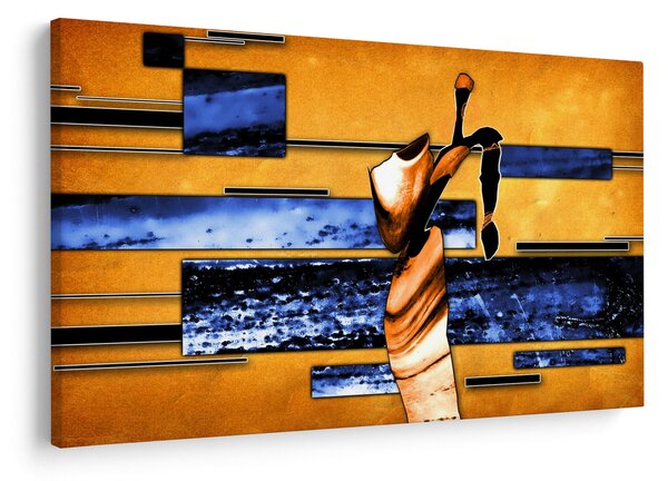 Tablou picturii abstracte (90x60 cm)