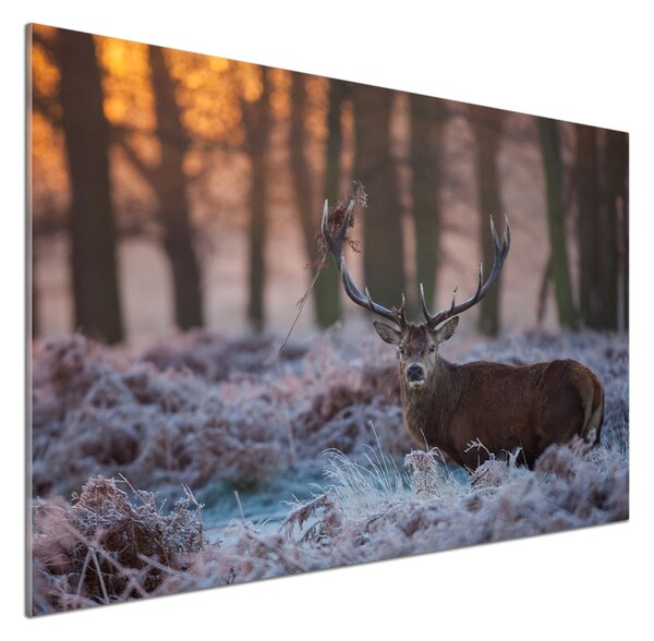 Panou sticlă decorativa bucătărie Sunrise Deer