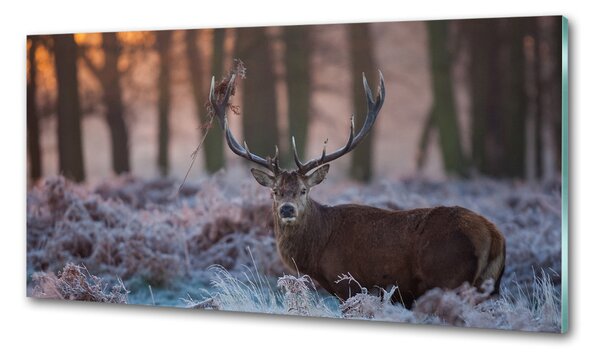 Panou sticlă decorativa bucătărie Sunrise Deer
