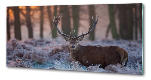 Panou sticlă decorativa bucătărie Sunrise Deer
