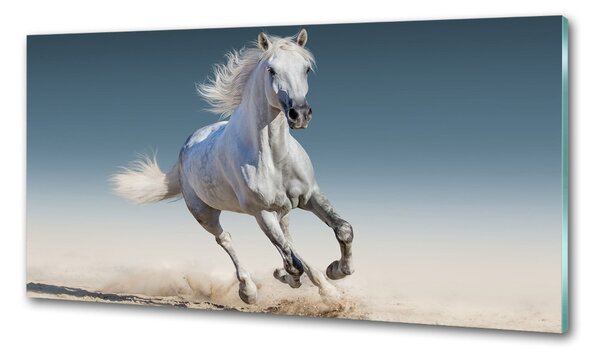 Panou sticlă bucătărie cal alb în galop