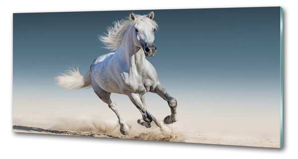 Panou sticlă bucătărie cal alb în galop