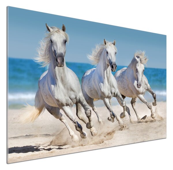 Panou sticlă decorativa bucătărie White Beach Horse