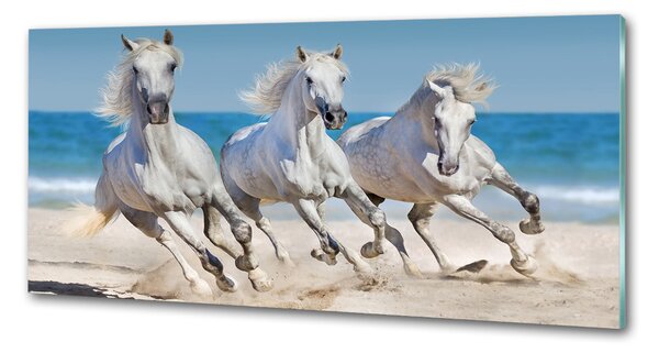 Panou sticlă decorativa bucătărie White Beach Horse