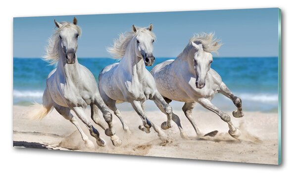Panou sticlă decorativa bucătărie White Beach Horse